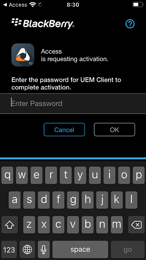 bes uem access app