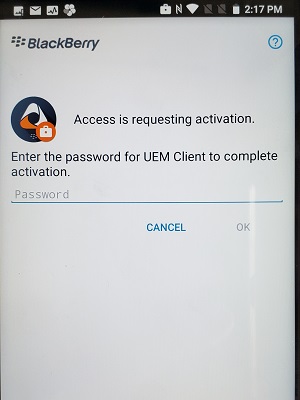 uem access